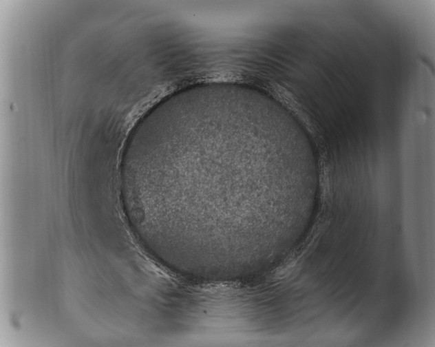 X0000102370721200808081152