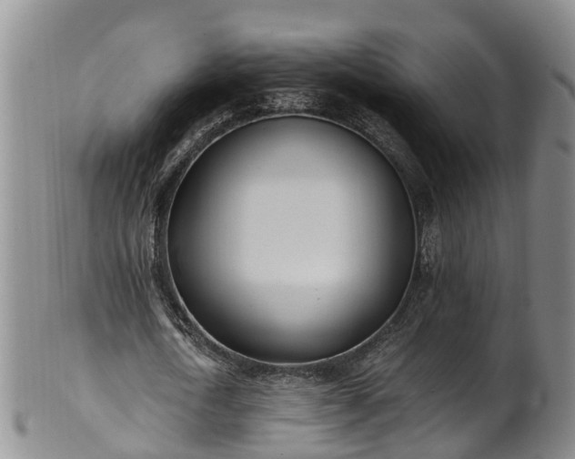 X0000102370722200808081152