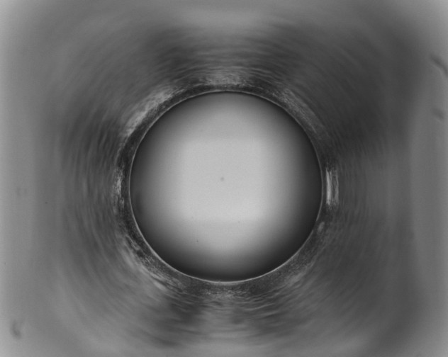 X0000102370723200808081152