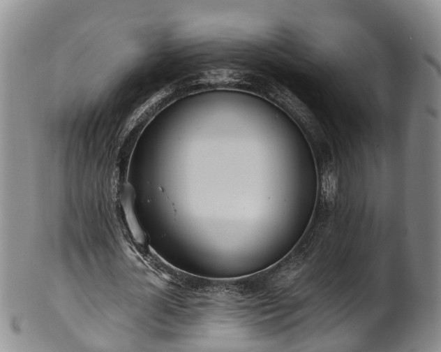 X0000102370724200808081152