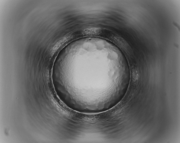 X0000102370725200808081152