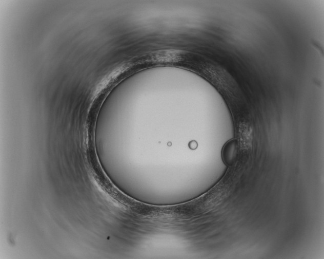 X0000102370726200808081152