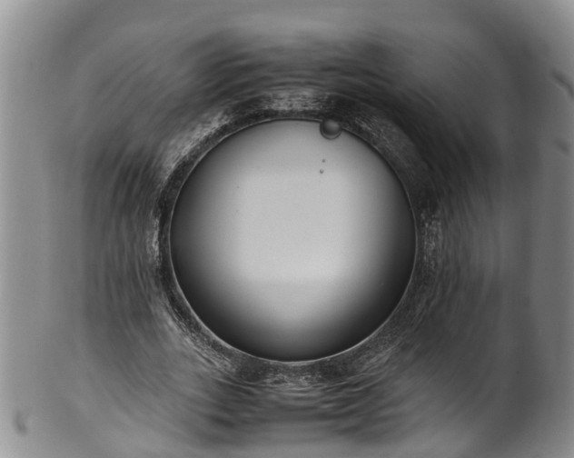 X0000102370727200808081152