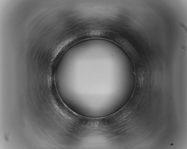 X0000102370728200808081152