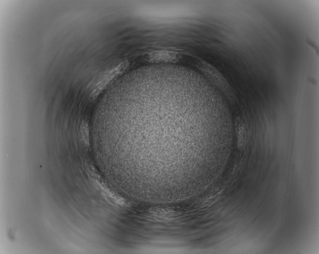 X0000102370729200808081152