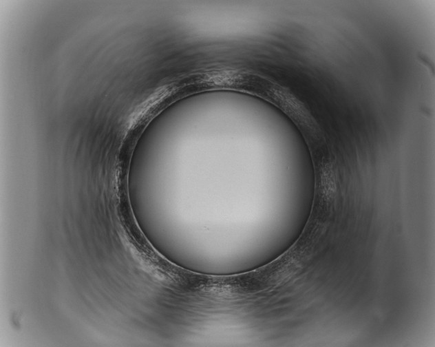 X0000102370730200808081152