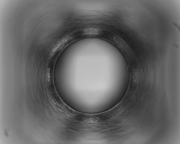 X0000102370731200808081152