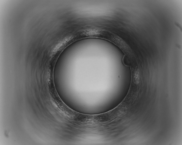 X0000102370732200808081152