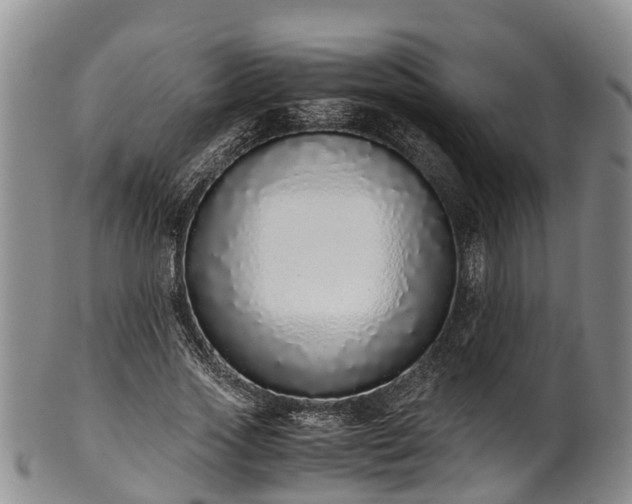 X0000102370733200808081152