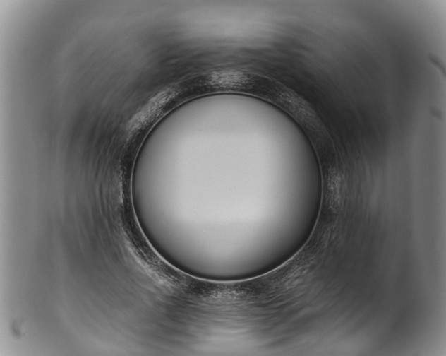 X0000102370734200808081152