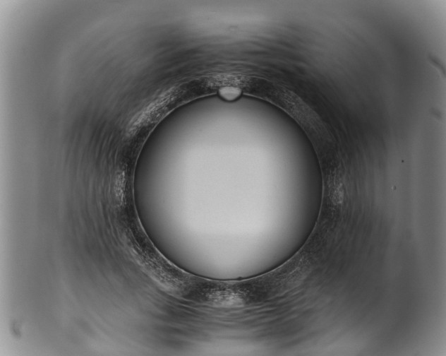 X0000102370735200808081152