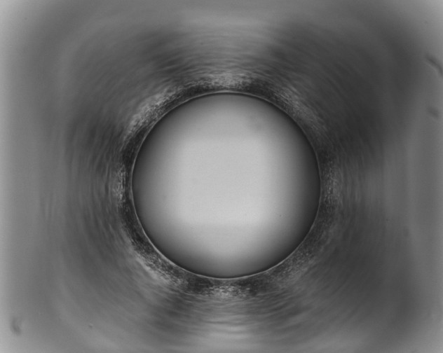 X0000102370736200808081152