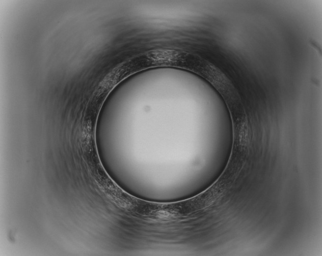 X0000102370737200808081152