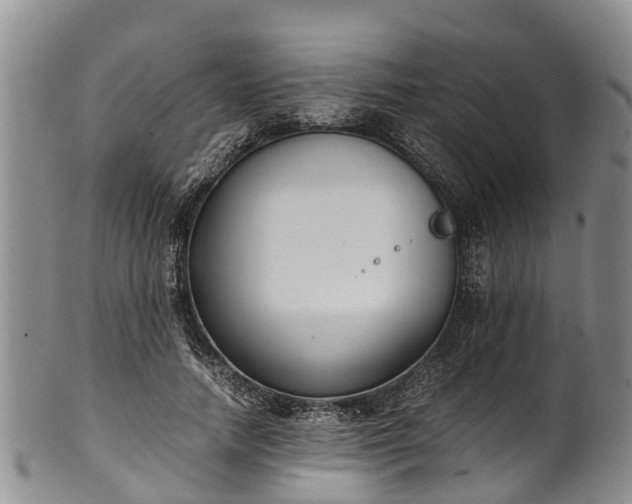 X0000102370738200808081152