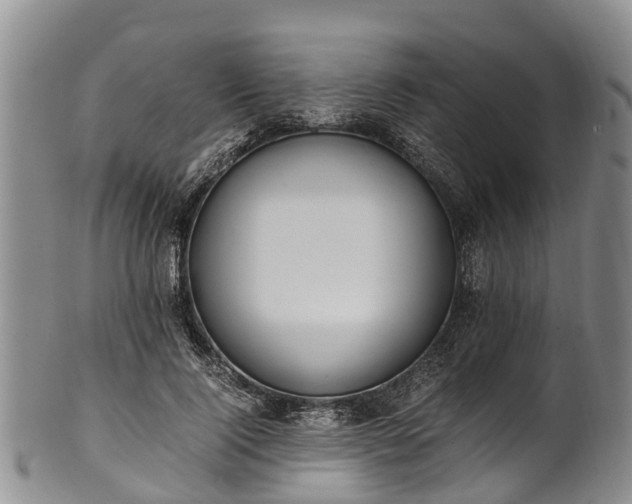 X0000102370740200808081152