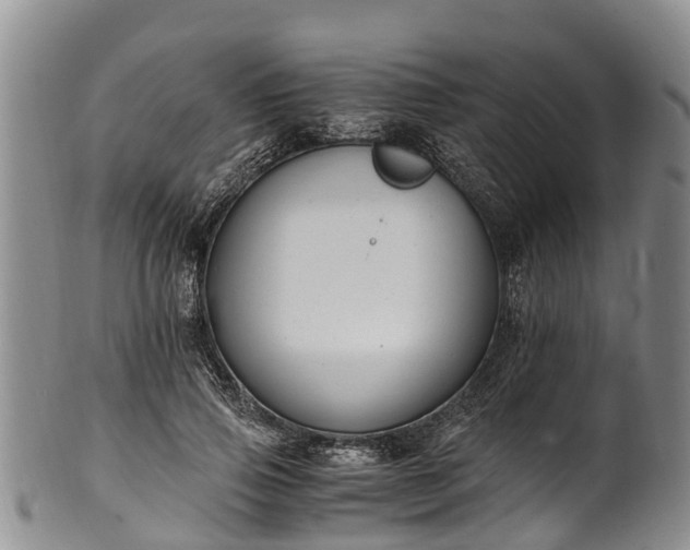 X0000102370741200808081152