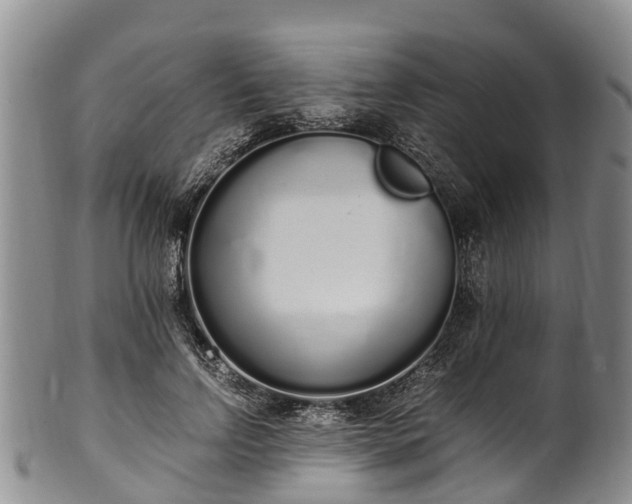 X0000102370742200808081152