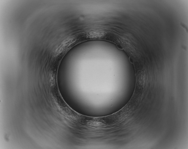 X0000102370743200808081152