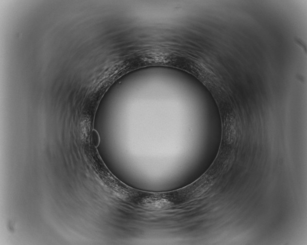 X0000102370747200808081152