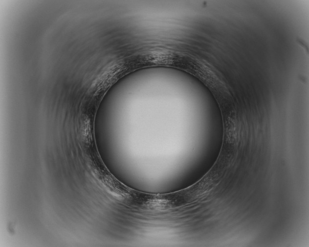 X0000102370748200808081152