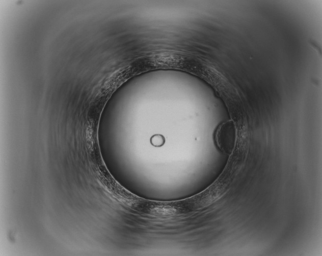 X0000102370749200808081152