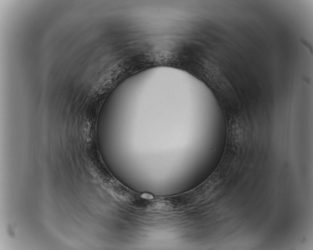 X0000102370750200808081152