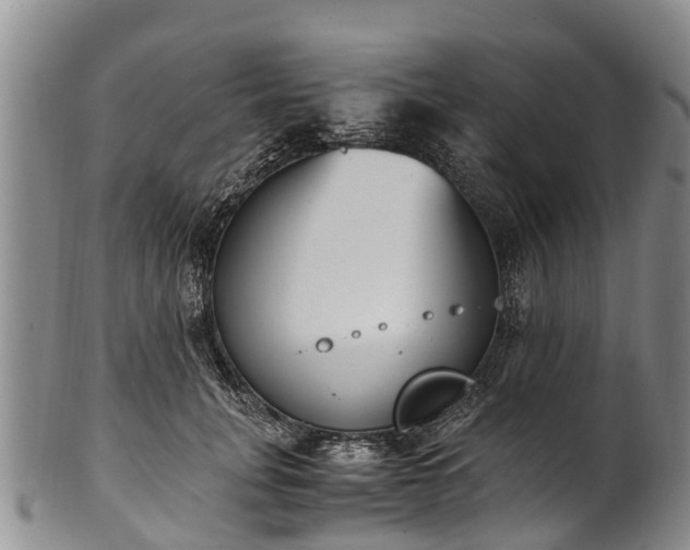 X0000102370751200808081152