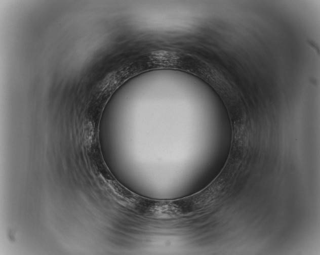 X0000102370752200808081152