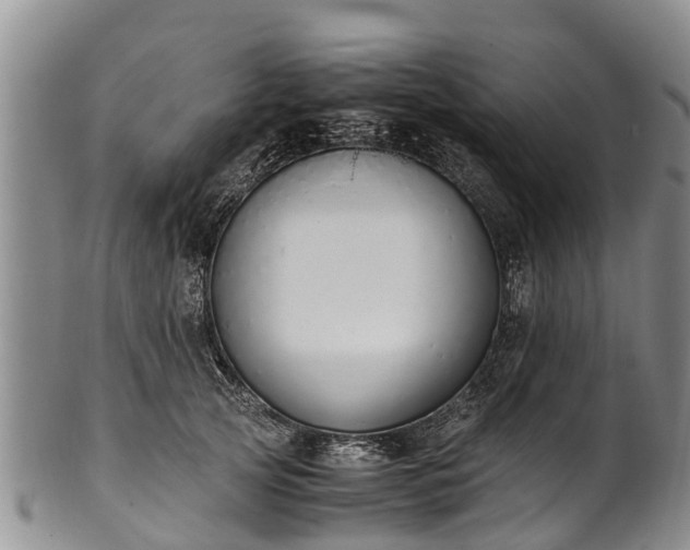 X0000102370753200808081152