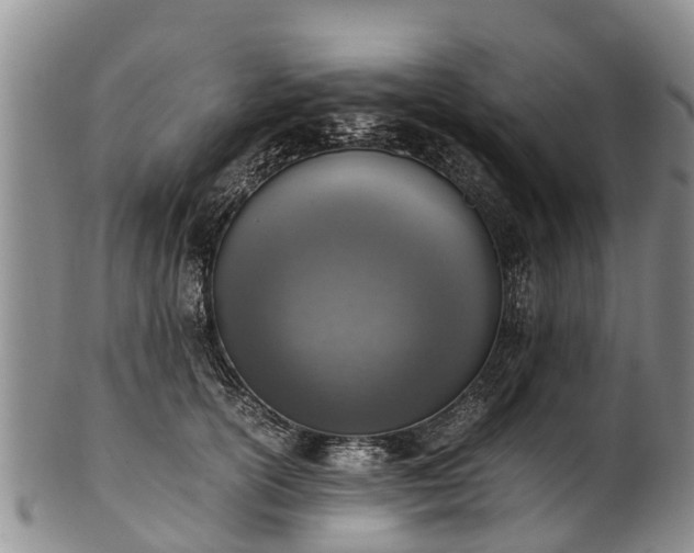 X0000102370754200808081152