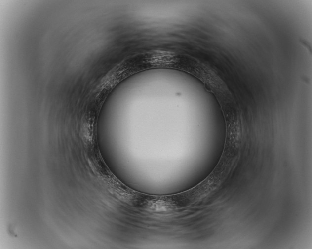 X0000102370755200808081152