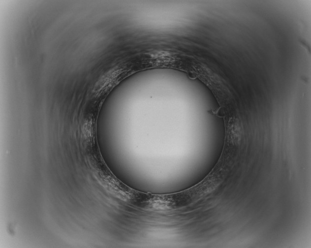 X0000102370756200808081152