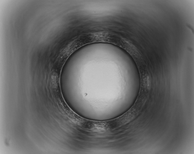 X0000102370757200808081152