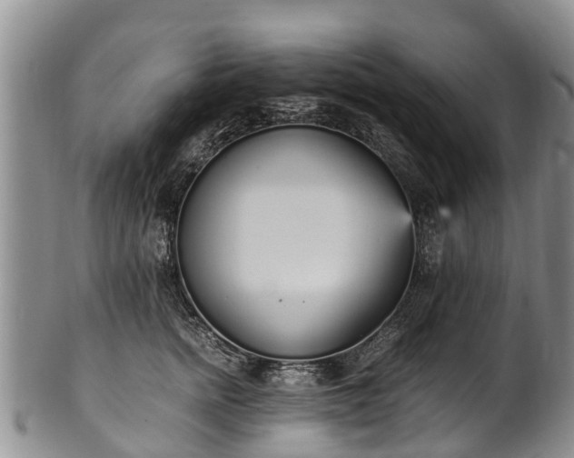 X0000102370758200808081152