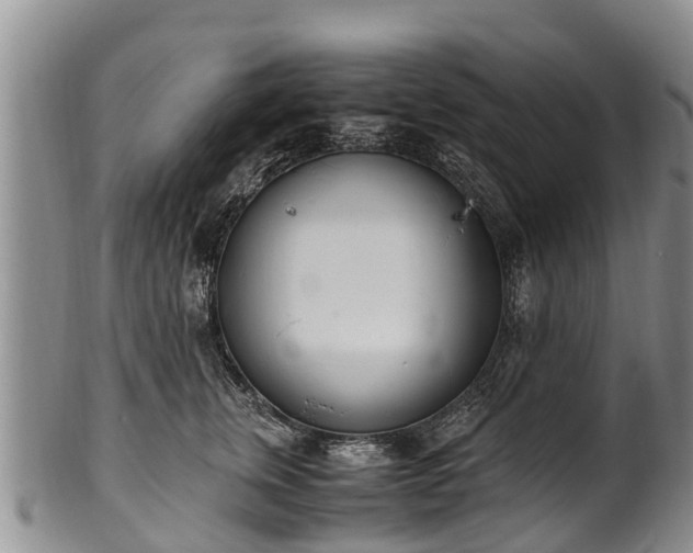 X0000102370759200808081152