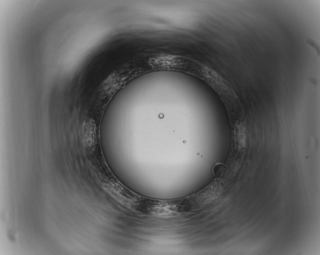 X0000102370760200808081152