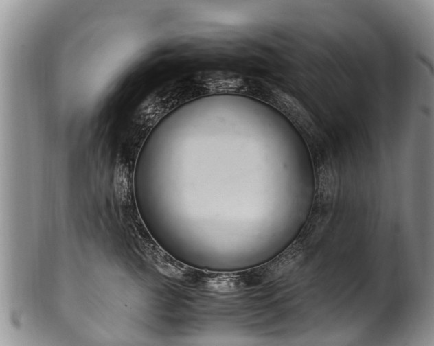 X0000102370761200808081152