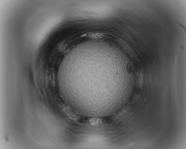 X0000102370762200808081152