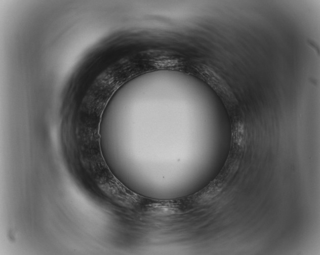 X0000102370763200808081152