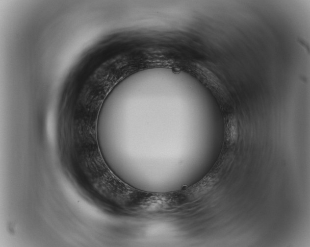 X0000102370764200808081152