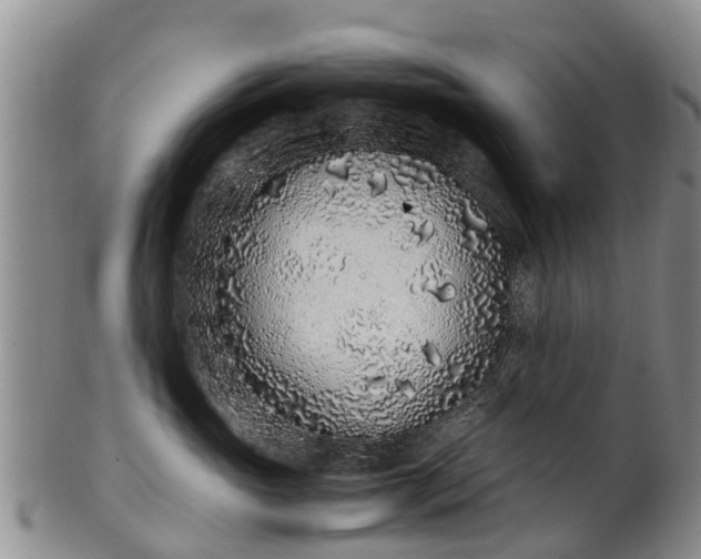 X0000102370765200808081152