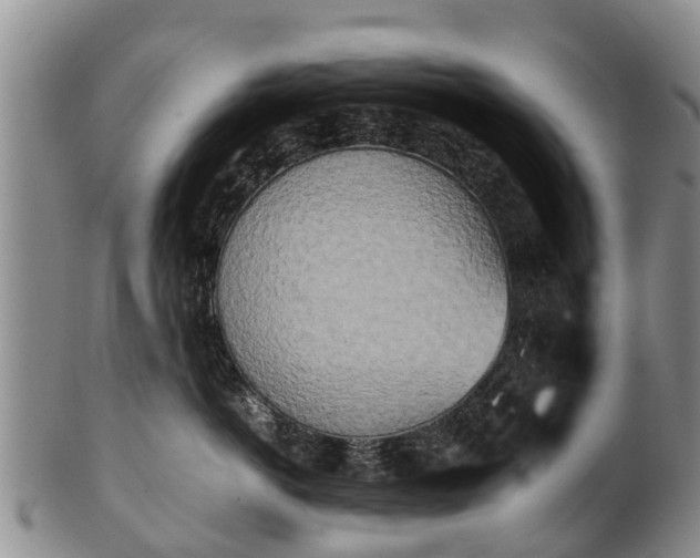 X0000102370766200808081152