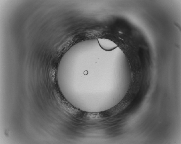 X0000102370767200808081152