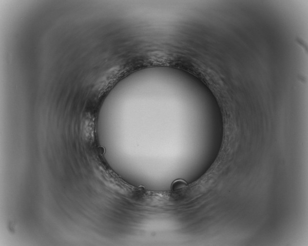 X0000102370768200808081152