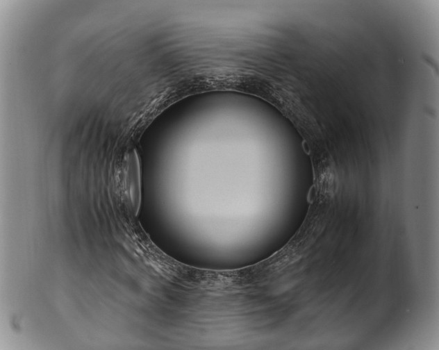 X0000102370772200808081152