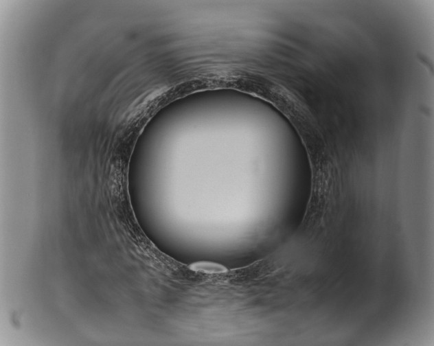 X0000102370773200808081152