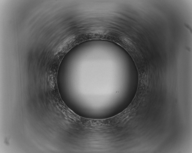 X0000102370774200808081152