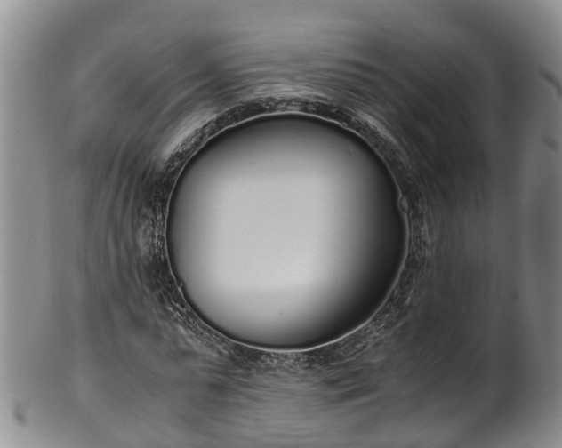 X0000102370775200808081152