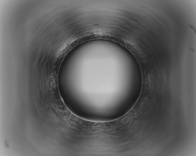 X0000102370776200808081152