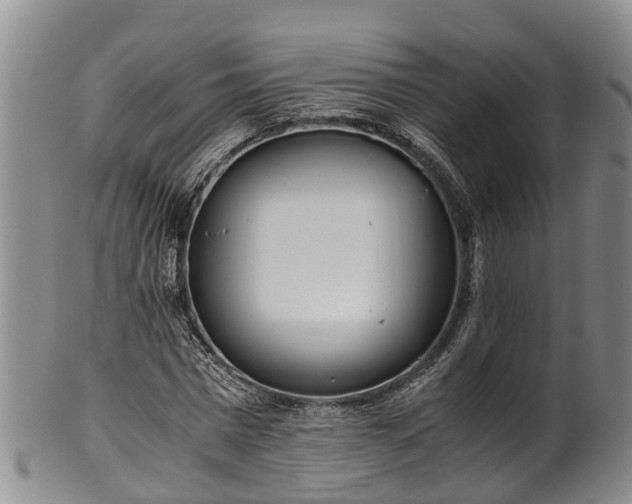 X0000102370777200808081152